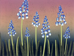 /library/uploads/Images_S8/WEB2SCALE A Crush of Grape Hyacinths.jpg